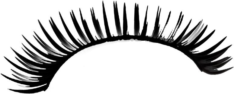 Eyelashes Drawing Png - Eyelashes Png (1024x746), Png Download