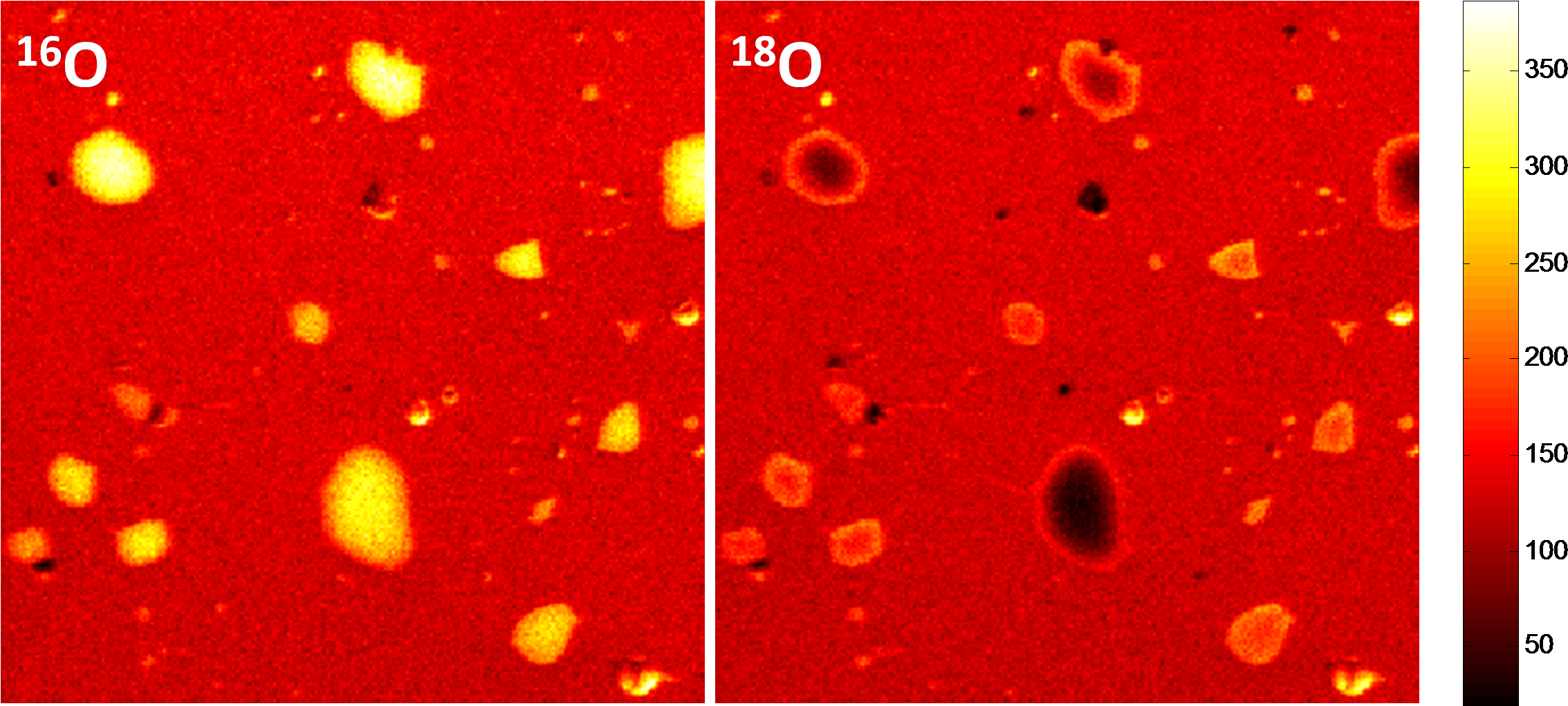 Sims Maps Indicating Native 16o Concentrations And - Pattern (2335x1032), Png Download