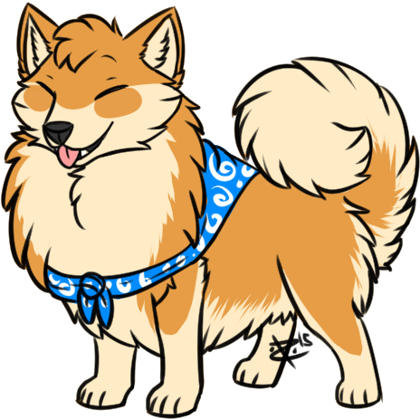 Happy Pomeranian - Companion Dog (503x489), Png Download