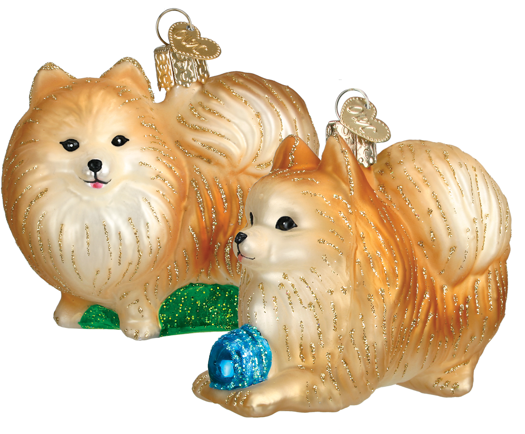 Click - Old World Christmas Pomeranian Glass Ornament (1200x1200), Png Download