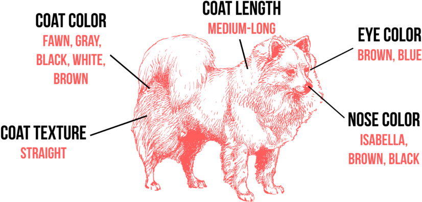 Appearance - Roberto Clemente Pirates (1024x433), Png Download