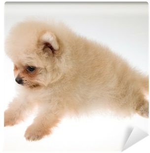 Canvas Print (400x400), Png Download