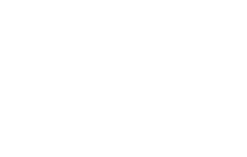 Logo Np - Basketball (500x314), Png Download
