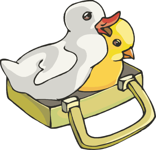 Chick And Duck Clipart (640x617), Png Download