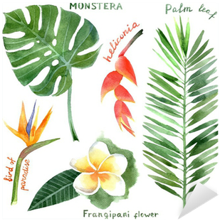 Watercolor Tropical (400x400), Png Download