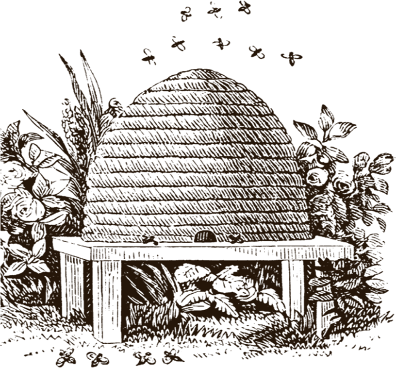 Beekeeping Workshop Feb (888x824), Png Download