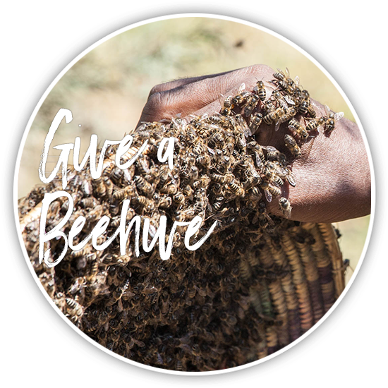 Beehive - Depositphotos (600x600), Png Download
