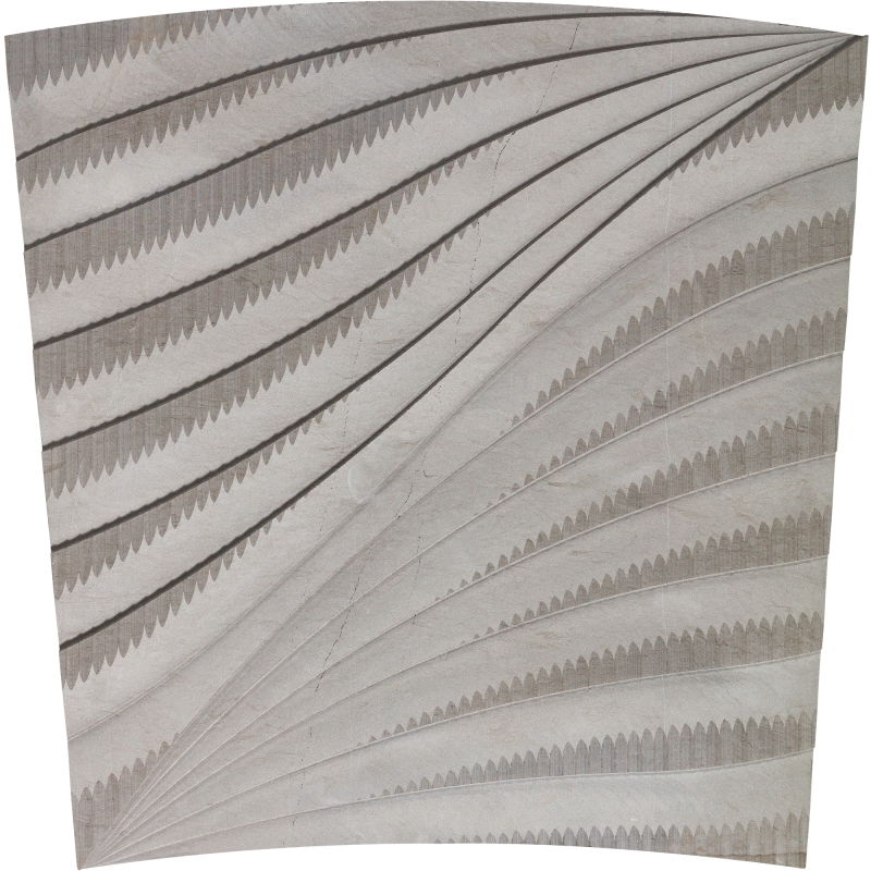 Graysonfoussana Sgrysgfm24 - Foussana (800x800), Png Download