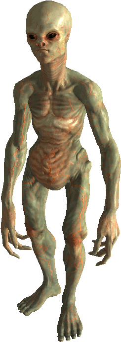 Quite Possibly The Most Scariest Thing I've Ever Encountered - Fallout 3 Mothership Zeta Abominacion (292x716), Png Download
