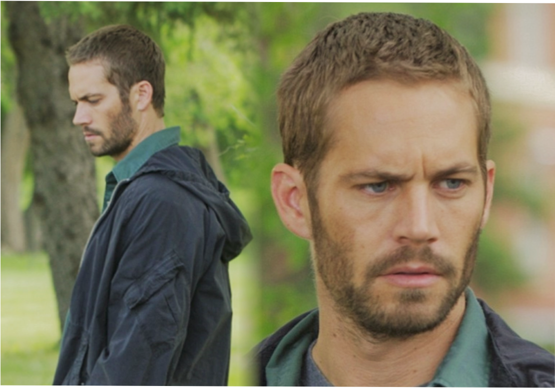 Paul Walker Movies - Das Lazarus Projekt Dvd (1108x1012), Png Download