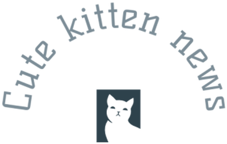 Veterinaria Meba (477x369), Png Download