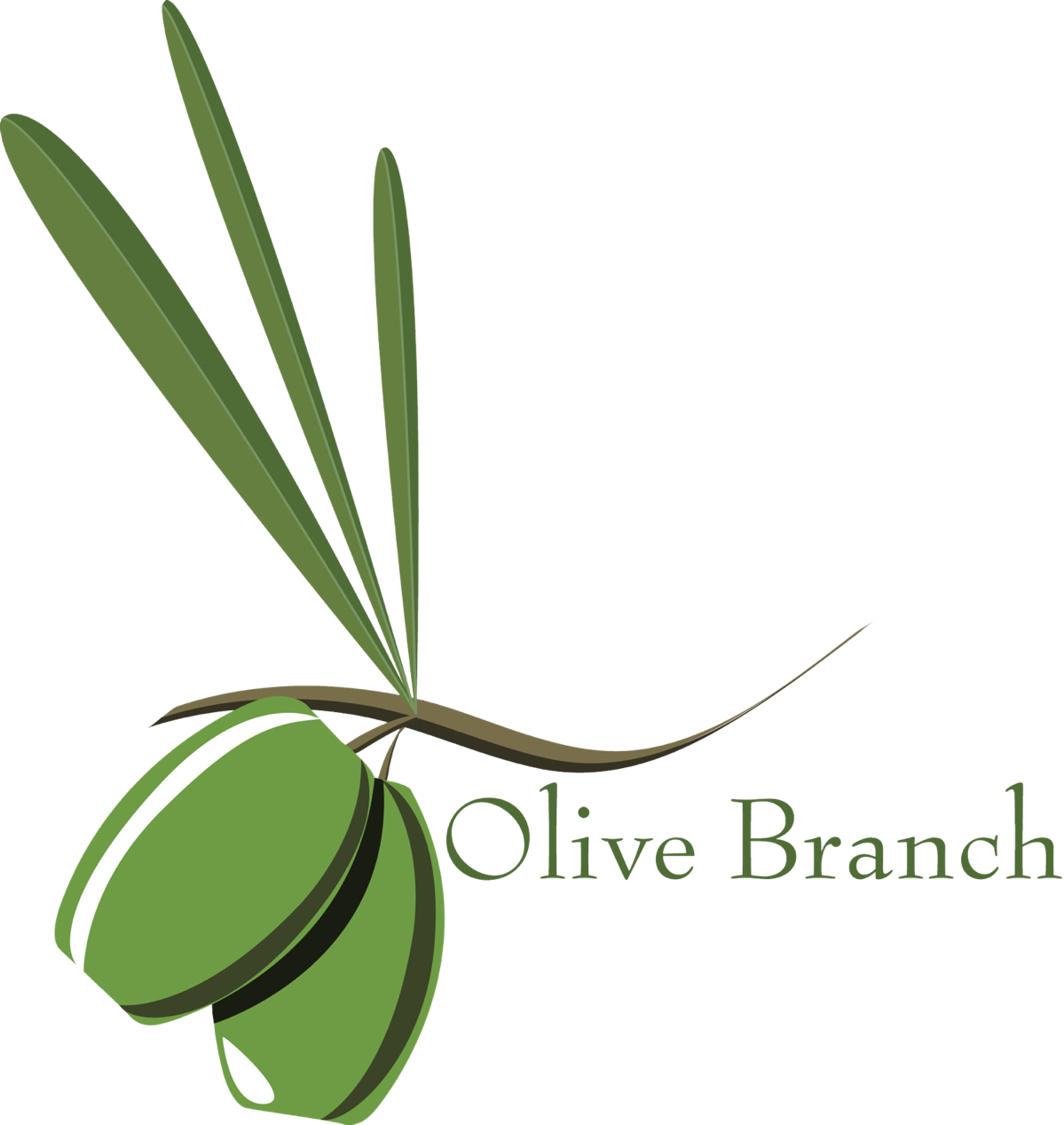28 Collection Of Olive Branch Petition Clipart - Olive Branch Petition Drawing (1199x1267), Png Download