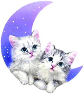 Kittens Transparent Cute Svg Library Library - Moving Pictures Good Night (406x407), Png Download