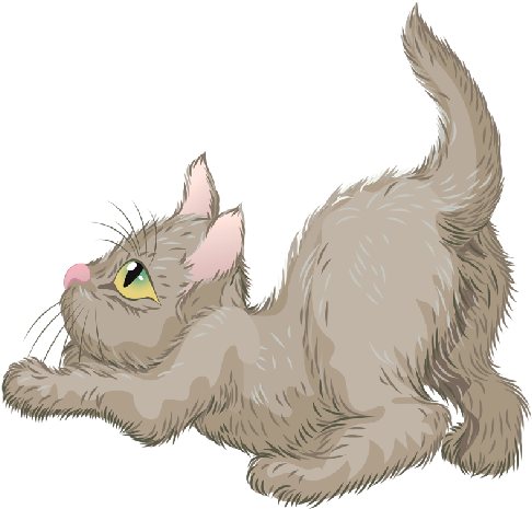 Cat Transparent Png Clipart - Cat (500x500), Png Download