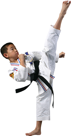 A Lifetime Of Leadership And Success Begins With Martial - Do Martial Arts (346x470), Png Download