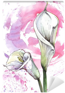 Flower Calla Watercolor Illustration Wall Mural • Pixers® - Watercolor Painting (400x400), Png Download