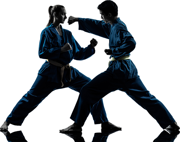 Adult Martial Arts - Martial Art Png (600x472), Png Download