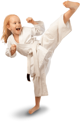 Kids Martial Arts In Cicero - Karate Png (420x548), Png Download