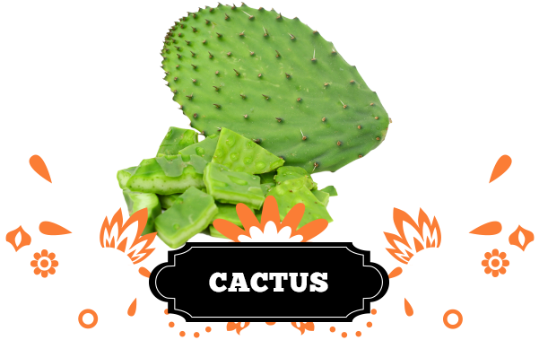 The Nopal Is One Of The Fundamental Symbols Of Mexico - Mexican Beer Png (600x400), Png Download