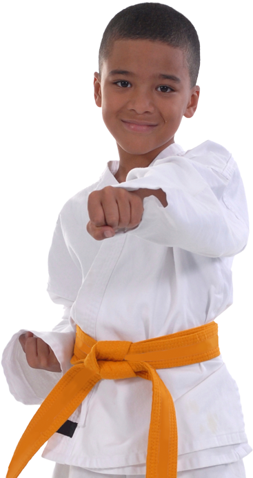 Stop Making Resolutions Without Goals - Taekwondo (922x704), Png Download