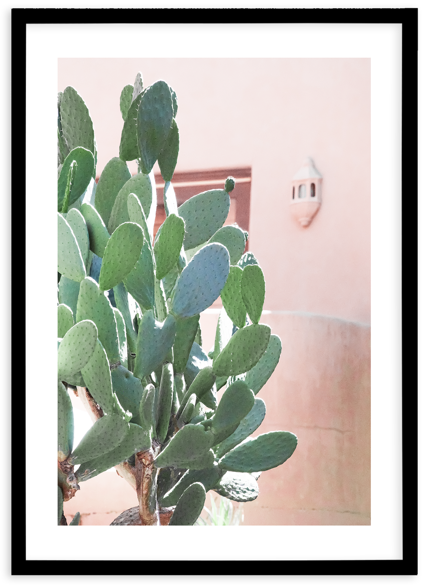 California Cactus No I - Poster (1874x2336), Png Download