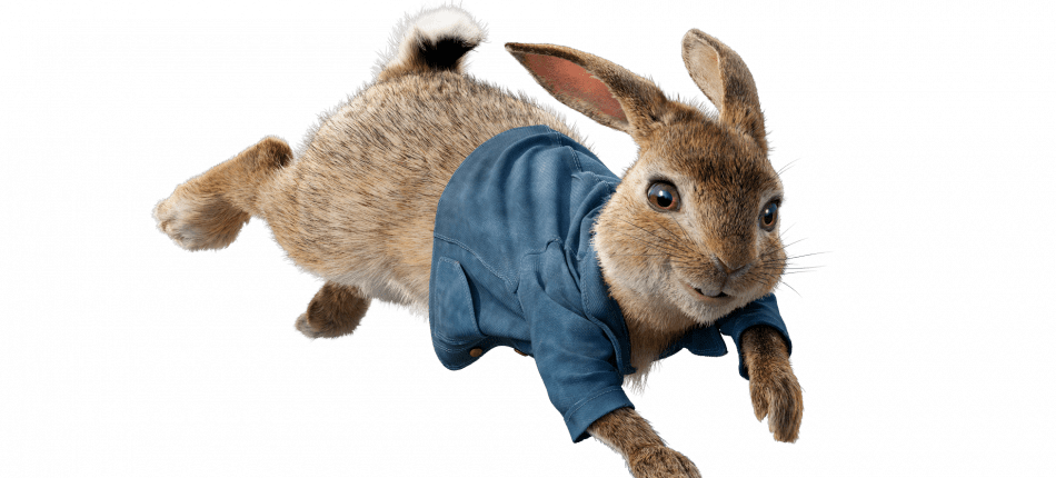 Peter Rabbit - Battle For The Garden By Beatrix Potter (950x430), Png Download