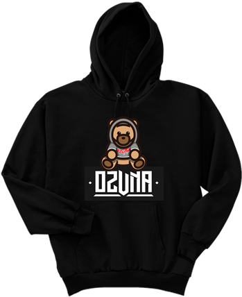 Hanes Hooded Sweatshirt P170 - Hoodie (433x433), Png Download