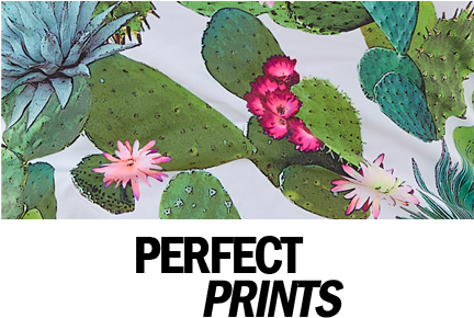 Printed Bikinis And Swimsuits - Freya Bikini Cactus (454x300), Png Download