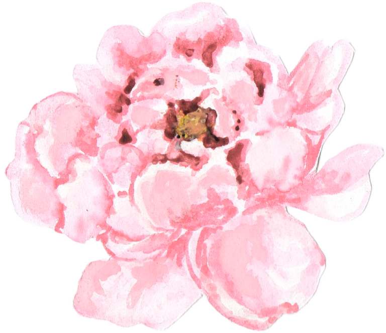 The Studio - Png Pale Pink Peonies Transparent (768x663), Png Download