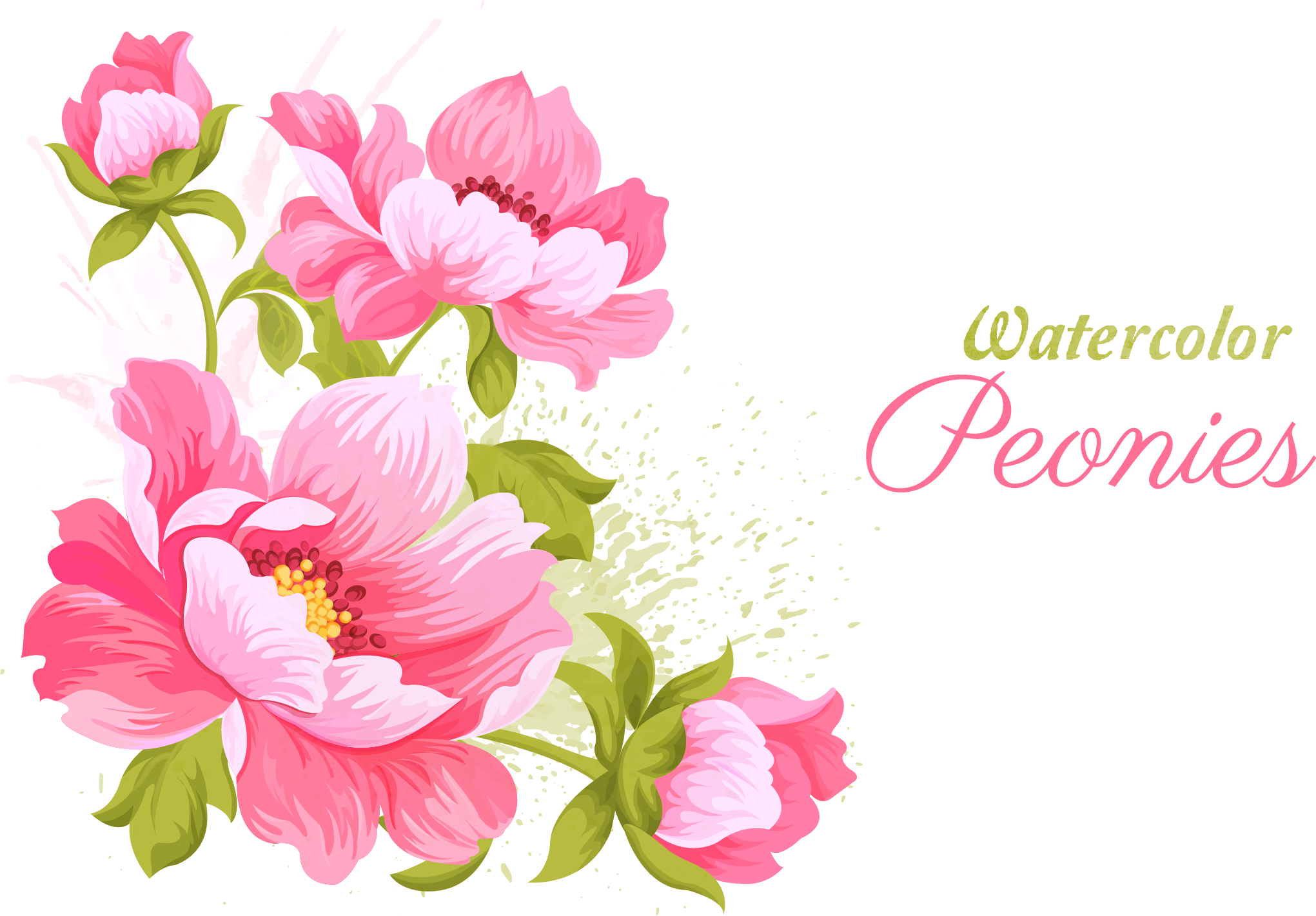 Pink Flowers Wedding Invitation Watercolor Painting - Watercolor Peonies Vector (2041x1421), Png Download