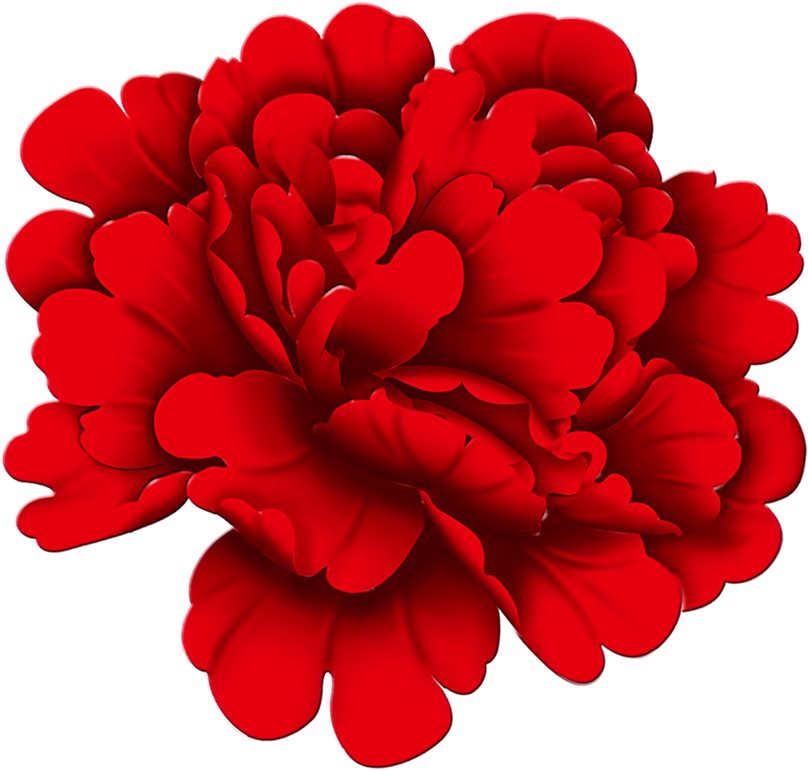 Red Peony Flowers 1600*1761 Transprent Png Free Download - Red Peony Fabric China Png (1600x1761), Png Download