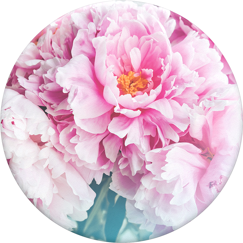Peony - Peony Popsocket (1000x1000), Png Download