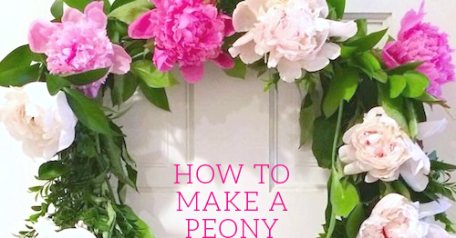 Design Darling How To Make A Peony Wreath Png Peony - Wreath (500x262), Png Download