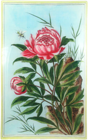Collection Name - Designers Guild John Derian Peony Rectangular Plate (500x500), Png Download