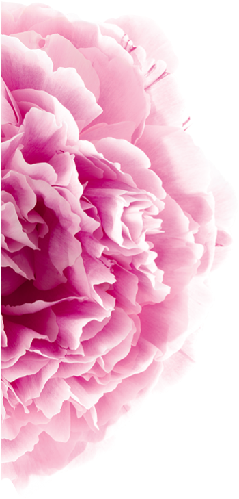 We Choose Peony For Its Paeoniflorine, An Anti Irritating, - Klorane Pivoine (720x848), Png Download