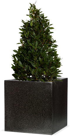 Capi Lux Terrazzo - Terrazzo (310x470), Png Download
