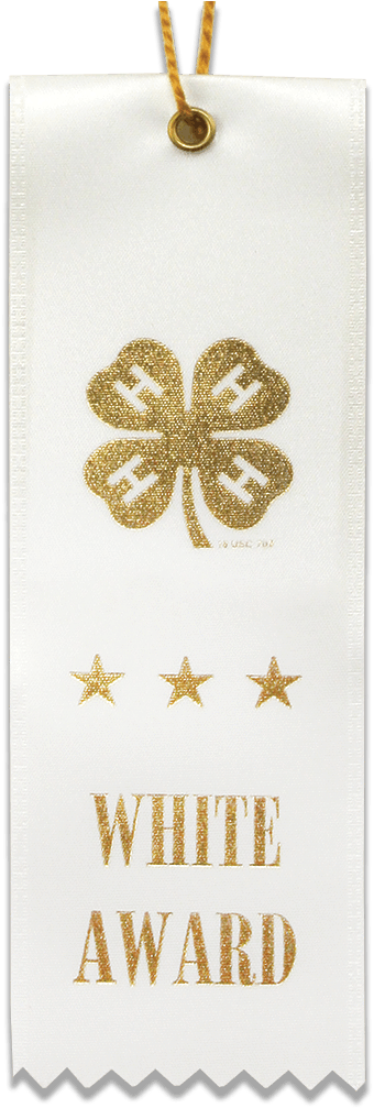 White Award Ribbon - Locket (1028x1028), Png Download