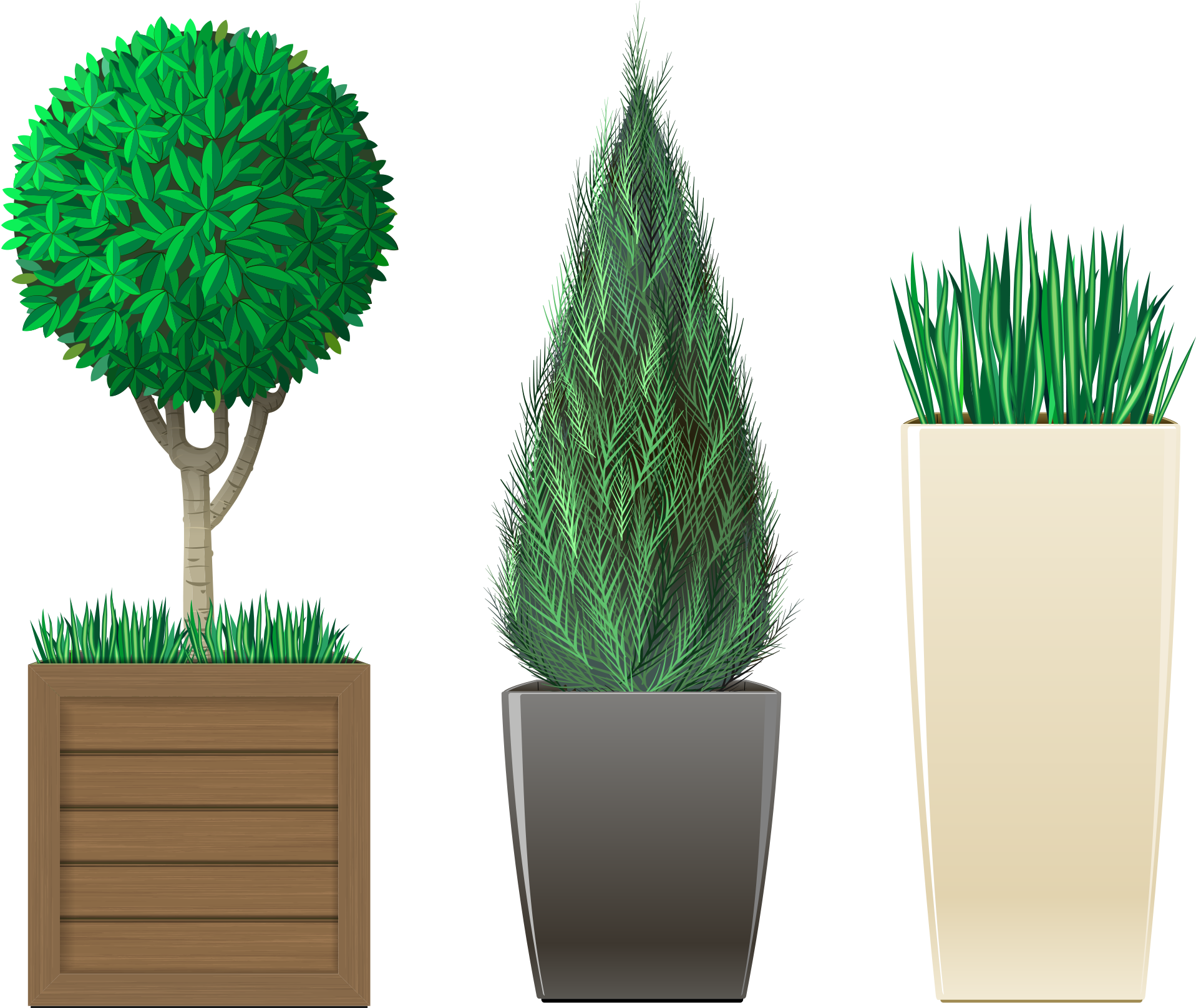 Planting & Potting - Plants (2000x2000), Png Download