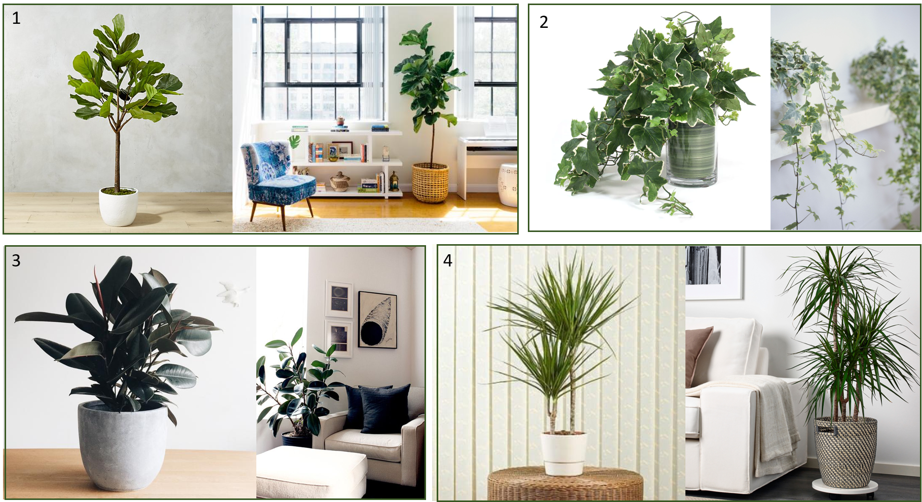 Plants - Creative Displays Faux English Ivy Plant In Glass Vase (1820x991), Png Download