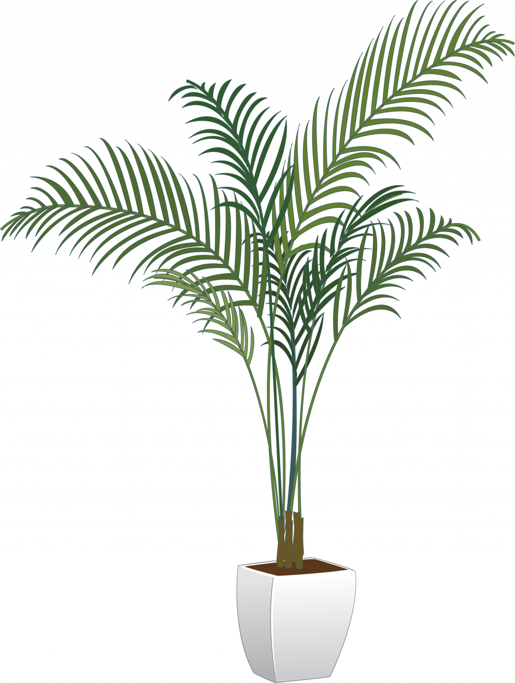 Pictures Of Potted Plants New Arecaceae Flowerpot Houseplant - Transparent Potted Plants Png (1024x1357), Png Download