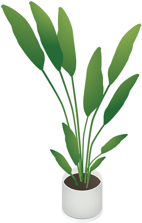 Free Isometric - Houseplant (622x1036), Png Download