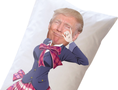 1% The Only Pillow That You Will Ever Need - Donald Trump Body Pillows (400x307), Png Download