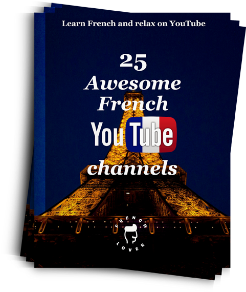 6b44a-youtubeoptin - Eiffel Tower (500x571), Png Download