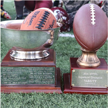 2016 Super Bowl Trophies - Bowl Game (960x365), Png Download