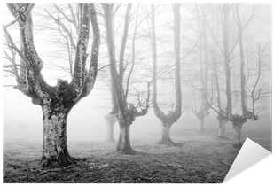 Creepy Forest (400x400), Png Download