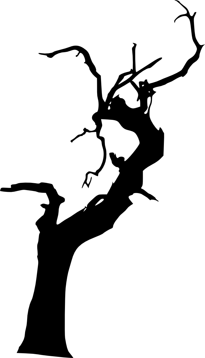 Free Dead Tree Png - Portable Network Graphics (688x1200), Png Download