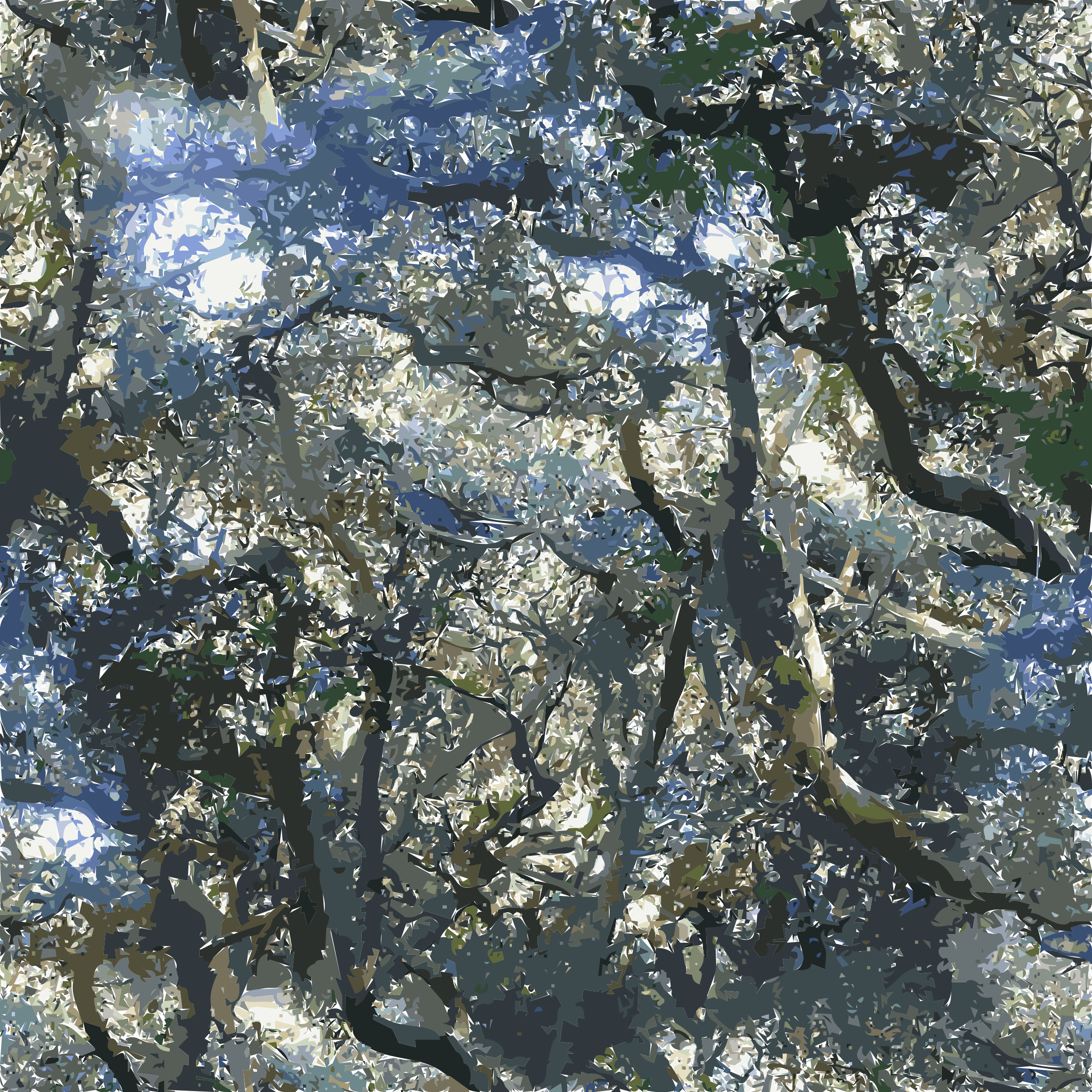 This Free Icons Png Design Of Buena Vista Park Tree (2400x2400), Png Download