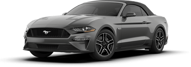 2019 Ford Mustang Gt Black (645x226), Png Download