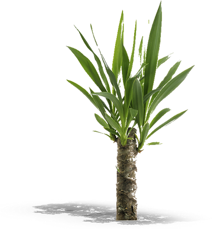Product Item - Peter Pepper Kona Planter Kp2420 - Steel - 24 Inch (451x451), Png Download