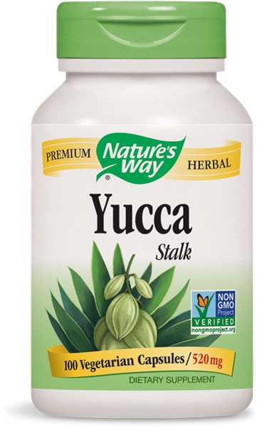 18300 - Yucca Stalk - Nature's Way Products (365x600), Png Download